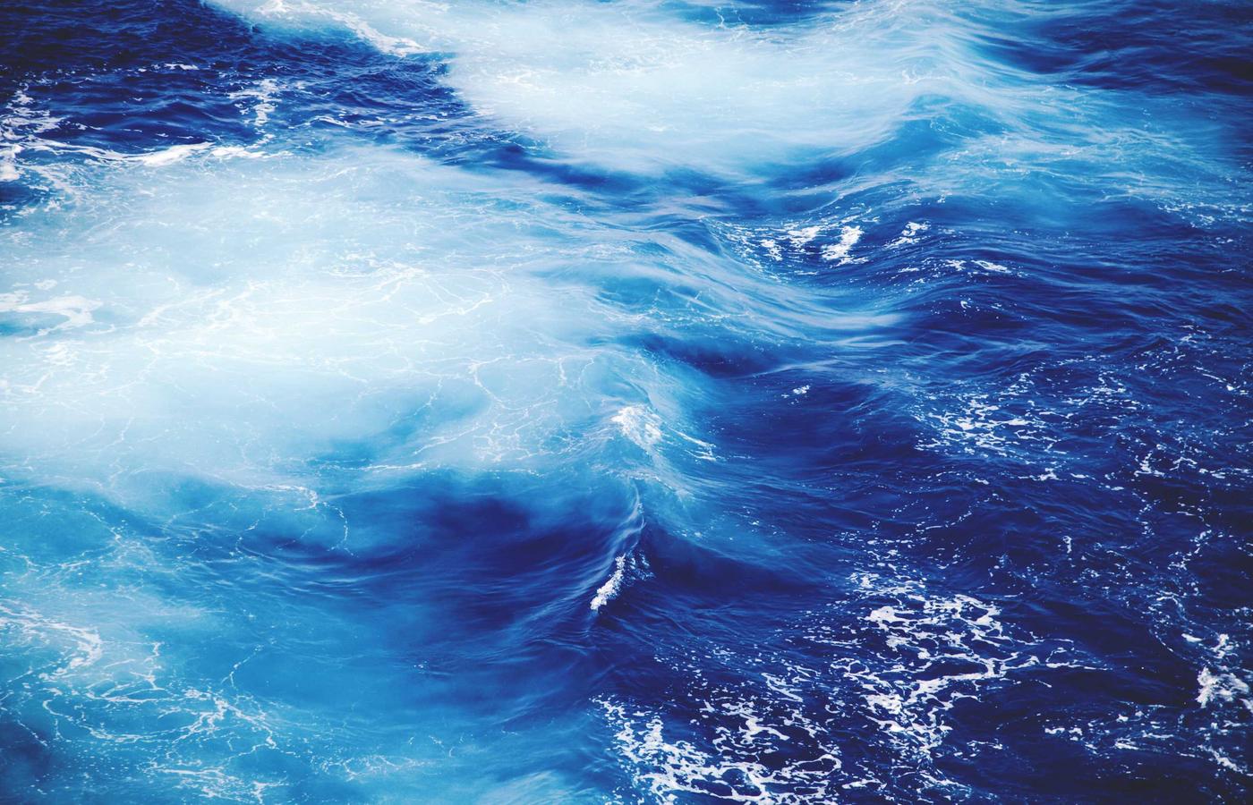 Porträt von Dr. Anna Ziegler