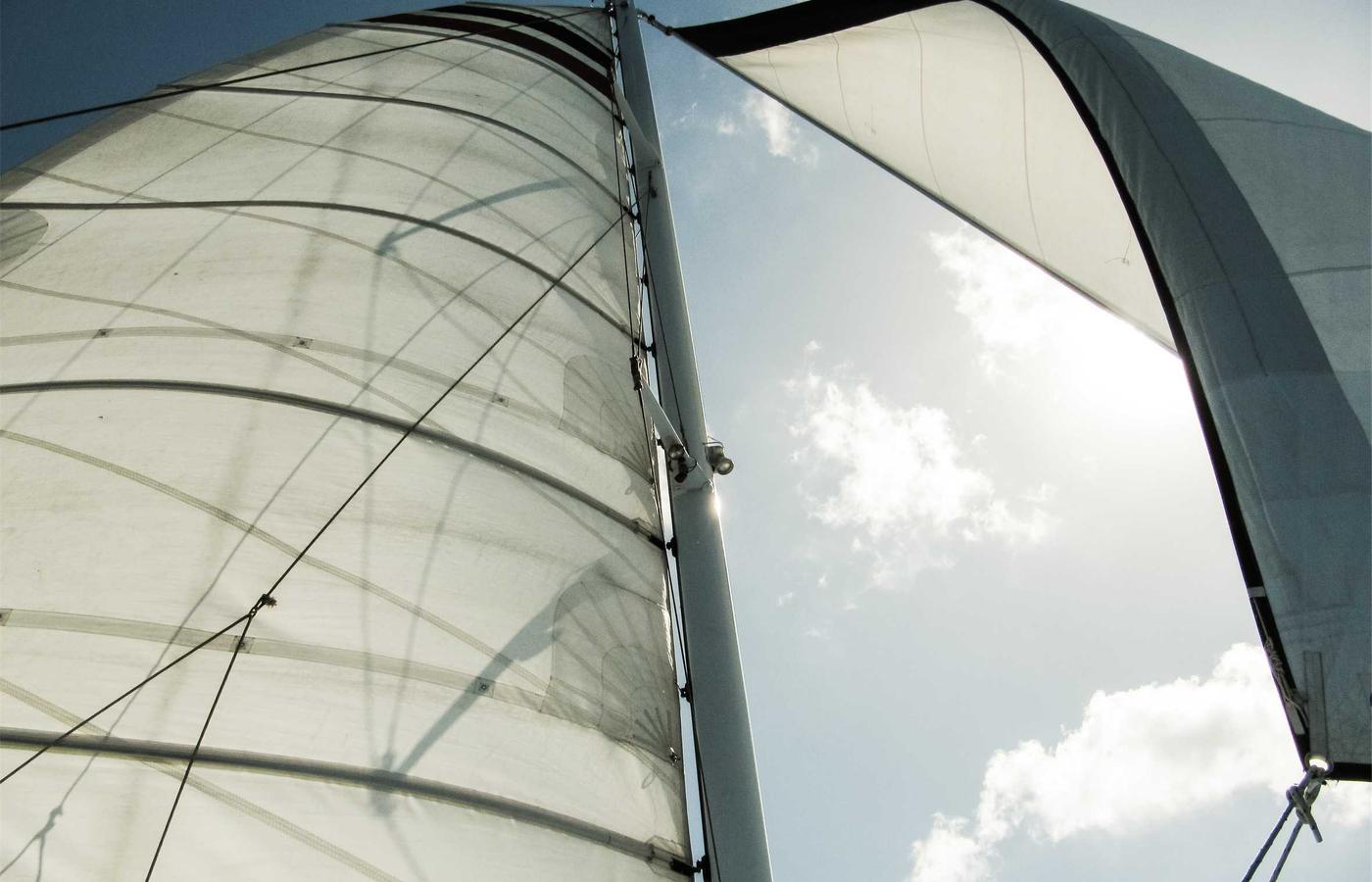 Porträt von Michael Brandt